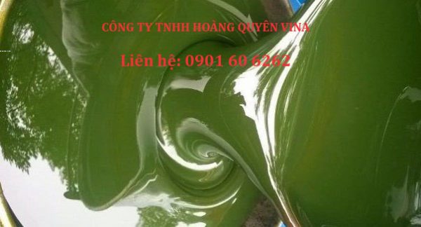 Dau Hoa Deo 21100202343614 B